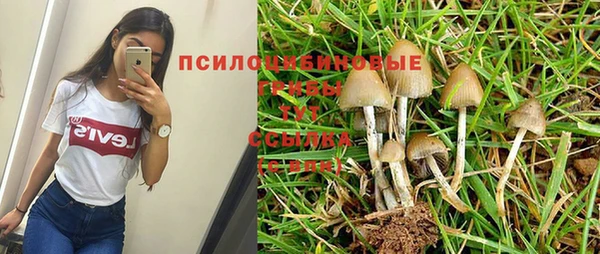 амфетамин Богородск