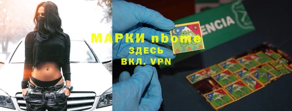 прущий лед Богданович